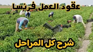 عقود العمل لفرنسا مشكل المواعيد و شرح المراحل من الباطرون حتى الحصول على الفيزا