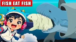 IKAN TERKECIL Vs IKAN TERBESAR DI LAUTAN