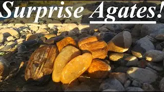 Autumn AGATE HUNT! Finding Gorgeous Agates, Petrified and AGATIZED WOOD, and Jasper!