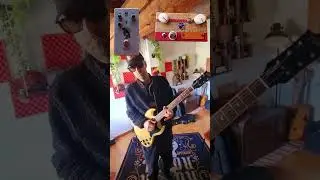 DOPHIX DANTE & Fuzz tone audio