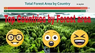 TOP COUNTRIES BY FOREST AREA 2019