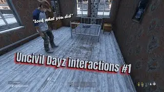 Uncivil Dayz interactions #1