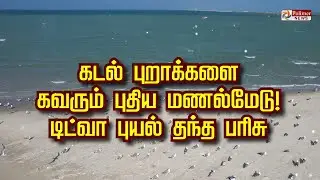 கடல் புறாக்களை கவரும் புதிய மணல் மேடு.. டிட்வா புயல் தந்த பரிசு