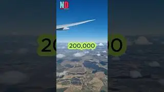 Amount of land per person on Earth