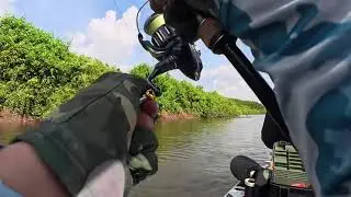 Mồi giun b&aacute;o c&aacute; chẽm #cauca #fishing 