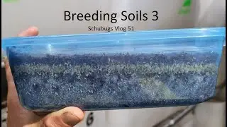 Breeding Soils 3 / Schubugs Vlog 51