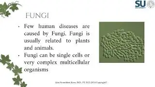 Lecture 2 Infection Chain Part 1 Voice Over