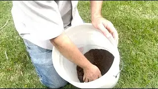 UF/IFAS Extension Soil Testing Guide