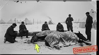 No Eating Fallen Horses &mdash; Soldiers Executed for Breaking This Bizarre Food Rule
