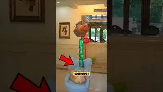 5 самых странных способностей животных. Последняя просто безумие! 😱