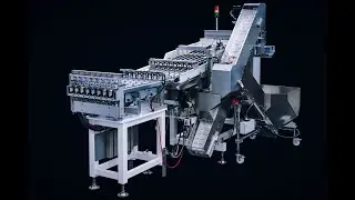 RNA FlexType L - lineare, flexible Zuführanlage für Kunststoffdeckel für die Lebensmittelindustrie