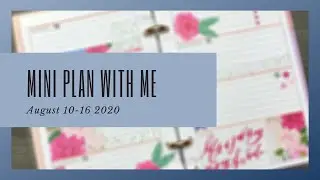 MINI HAPPY PLANNER | HORIZONTAL LAYOUT | PLAN WITH ME | AUGUST 10-16