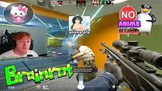 i roleplayed as an anime pfp in CS2