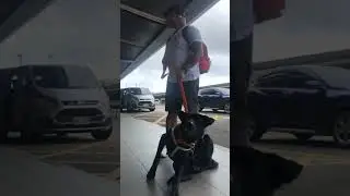 Taiwan airport. Papuntang Filipina&rsquo;s #dogs #cute #pinoy #dogs