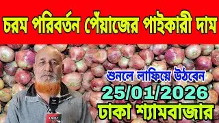 25/01/2026 চরম পরিবর্তন পেঁয়াজের পাইকারী দাম আজকের খবর বর্তমান বাজারে পেঁয়াজ রসুন আলুর দাম কত ? 
