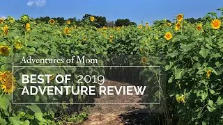 Year of Adventure 2019 Review: Adventures of Mom