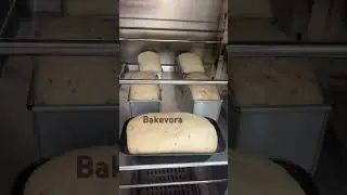 Freshly baked bread by Bakevora