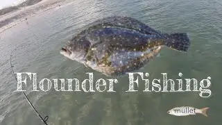 Flounder Fishing Using Fresh Cutbait #flounderfishing #Freshbait