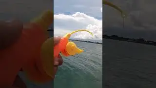 Pancing mainan dapat ikan kerapu | Toys rod fishing challenge #shorts