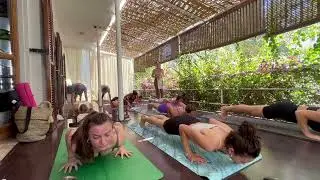 Shivani Life Center, Vinyasa Flow Yoga Dersi/Class - Level 3
