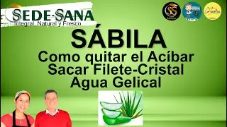 COMO CORTAR LA S&Aacute;BILA Y QUITAR AC&Iacute;BAR  En casa con Amelia