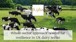 Whole-sector approach needed for UK dairy: Abi Williams, Food Ethics Council