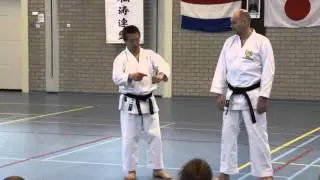 Kagawa-sensei explains and demonstrates teisho fom kata jion #karate #kata #jion #shotokan #空手道