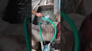 Mini Pump 0.5 HP 1440 RPM Texmo Taro No Load Testing #Shorts #youtubeshorts #viral #support#Pradeep