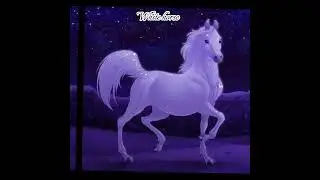 all horses are singing bad boy
