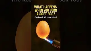 What Happens When You Burn a Soft Egg?  #destroy #experiment #test #egg #scienceproject #happens
