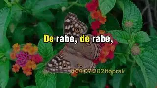 Bamerd Jan - Buhar&ecirc; (Ev&icirc;na te ez xistime hal&ecirc; b&ecirc;hala)