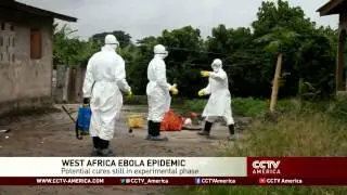 Dr. Jonathan Epstein, expert on diseases like Ebola