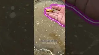 Gold Recovery Trick: Lost Bracelet Found Underwater! 😲✨