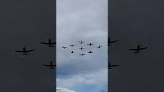 Diamond Nine - T-6C Texan II  | Royal New Zealand Air Force