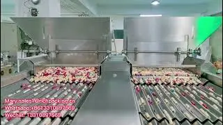 24 Lane counting machine