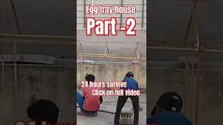 egg tray house 24 hours survive challenge #overnight #survival #challenges #24hourchallenge #shorts