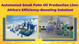 Automated Small Palm Oil Production Line: Africa's Efficiency-Boosting Solution! #automobile #oil