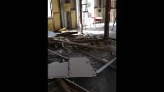 Termite damage to are home in Liverpool