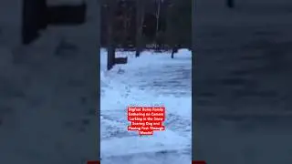 Bigfoot Ruins Family Gathering on Camera Lurking in Snow Scaring Dog and Flees Fast Through Woods!
