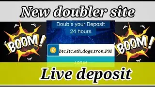 cryptostar new doubler site launched 200% profit legit site