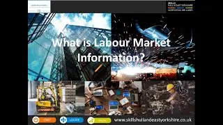 What is Labour Market Information?