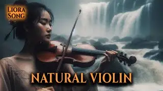 Emotional Solitude: A Mesmerizing Solo Violin Performance Amidst Nature's Serenity