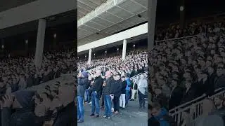 Listen to that NOISE!!!! Dublin Racing Festival crowd react to Irish Champion Hurdle #Fans
