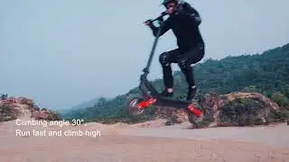 X10 Off Road Electric Scooter - 2400W Dual Motor