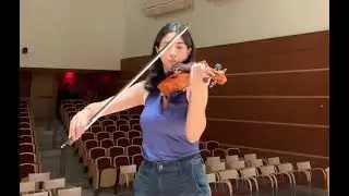 Eryth Sea (Night) - Xenoblade Chronicles - Aya Hobeika, violin