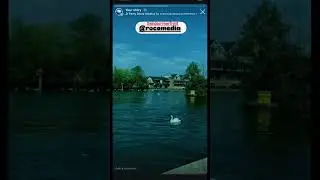 Windsor Riverfront, England ​⁠​@ROCOMEDIA