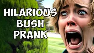 HILARIOUS Bush Prank. Man dressed like bush scared her so bad.