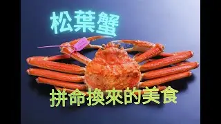 松葉蟹 深海極地捕撈 地球上最危險工作之一 極限冒險拼搏人間美食｜世界奇趣探索        #松葉蟹#世界之最#youtubevideo#youtube#crab#crabs#crabseason