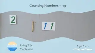 Counting Numbers 11-19