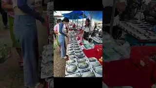 amazing things to do in Thailand must visit lampang